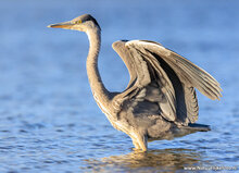 Photography workshop Hoogeveen