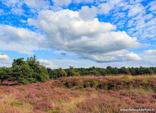 Photography workshop Hoogeveen