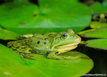 Photography workshop Appelscha