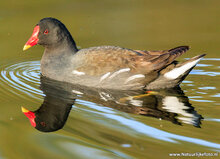 Photography workshop Heerenveen