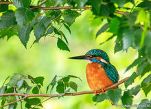 Photography workshop Hoogeveen