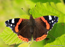 Photography workshop Assen