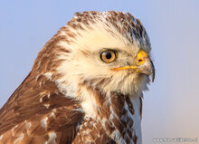 Photography workshop Assen