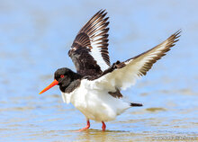 Photography workshop Zuidhorn
