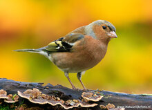 Photography workshop Haren