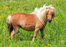 Photography workshop Haren