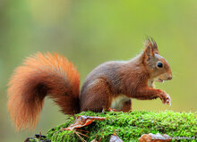 Photography workshop Appelscha