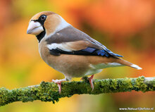 Photography workshop Haren