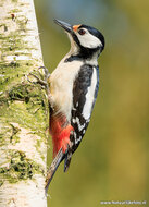 Photography workshop Haren