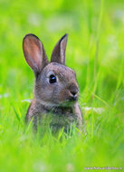 Photography workshop Assen