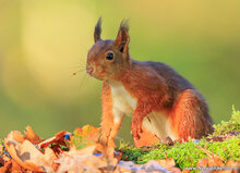 Photography workshop Zuidhorn