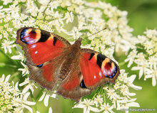 Photography workshop Zuidhorn