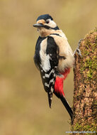 Photography workshop Hoogezand