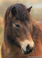 Photography workshop Hoogezand