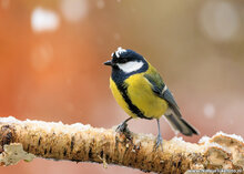 Photography workshop Hoogezand