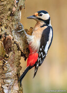 Photography workshop Beetsterzwaag