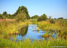 Photography workshop Heerenveen