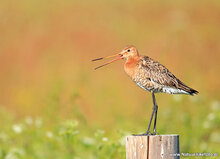 Photography workshop Heerenveen