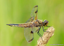 Photography workshop Heerenveen