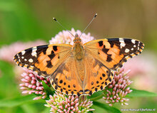 Photography workshop Beetsterzwaag