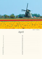 Birthday calendar mills