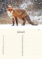 Birthday calendar animals