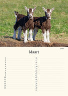 Birthday calendar animals