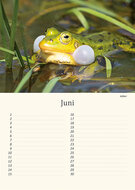 Birthday calendar animals