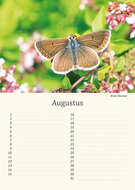 Birthday calendar animals