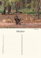 Birthday calendar animals