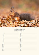 Birthday calendar animals