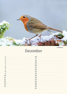 Birthday calendar animals