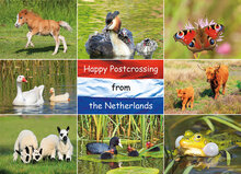 nature postcards