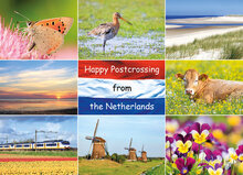 nature postcards