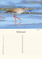 Birthday calendar birds