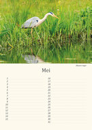 Birthday calendar birds