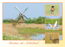 Dutch postcards set
