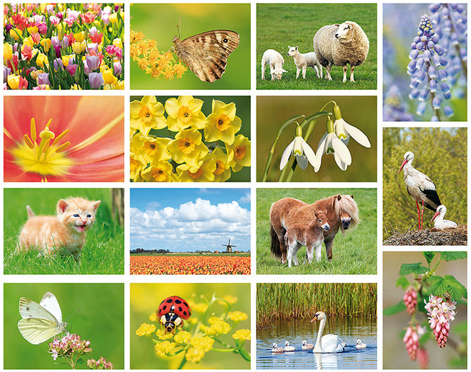 Postcard set with various spring postcards - available from stock