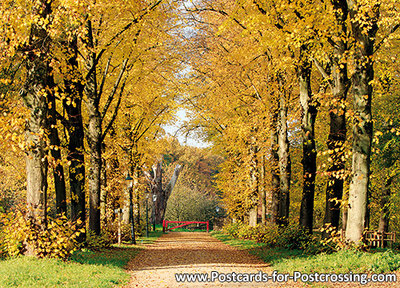 Autumn postcard - lane