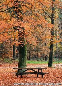 Autumn postcard - bench
