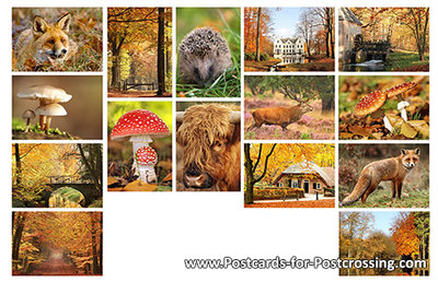 Autumn postcard set