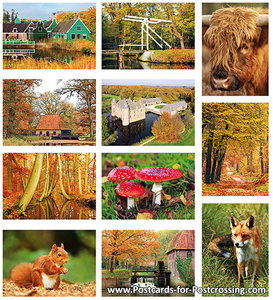 Autumn postcards set