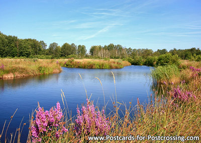 Alde Feanen in Eernewoude postcard