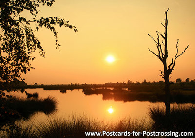 Sunset Dwingelderveld postcard