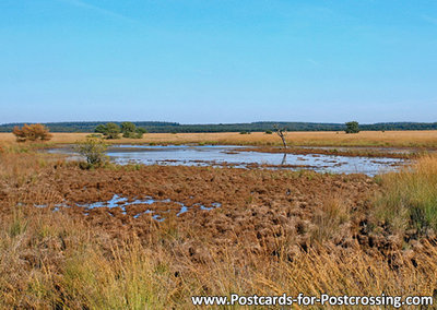 Veluwe postcard