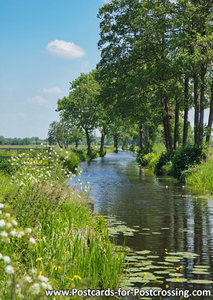 landgoed Nienoord Stork postcard