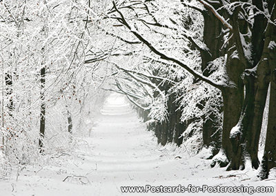 Winters lane postcard