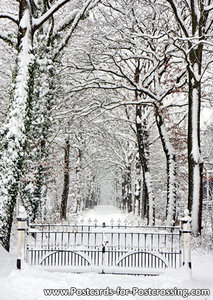 Winter lane with fence postcard