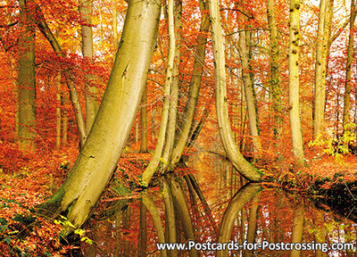 Twickelervaart postcard