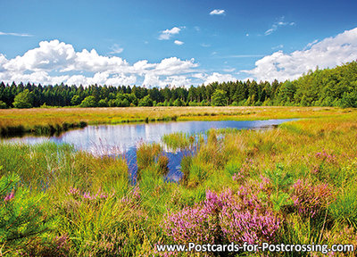 Grolloo - Blanke Veen postcard